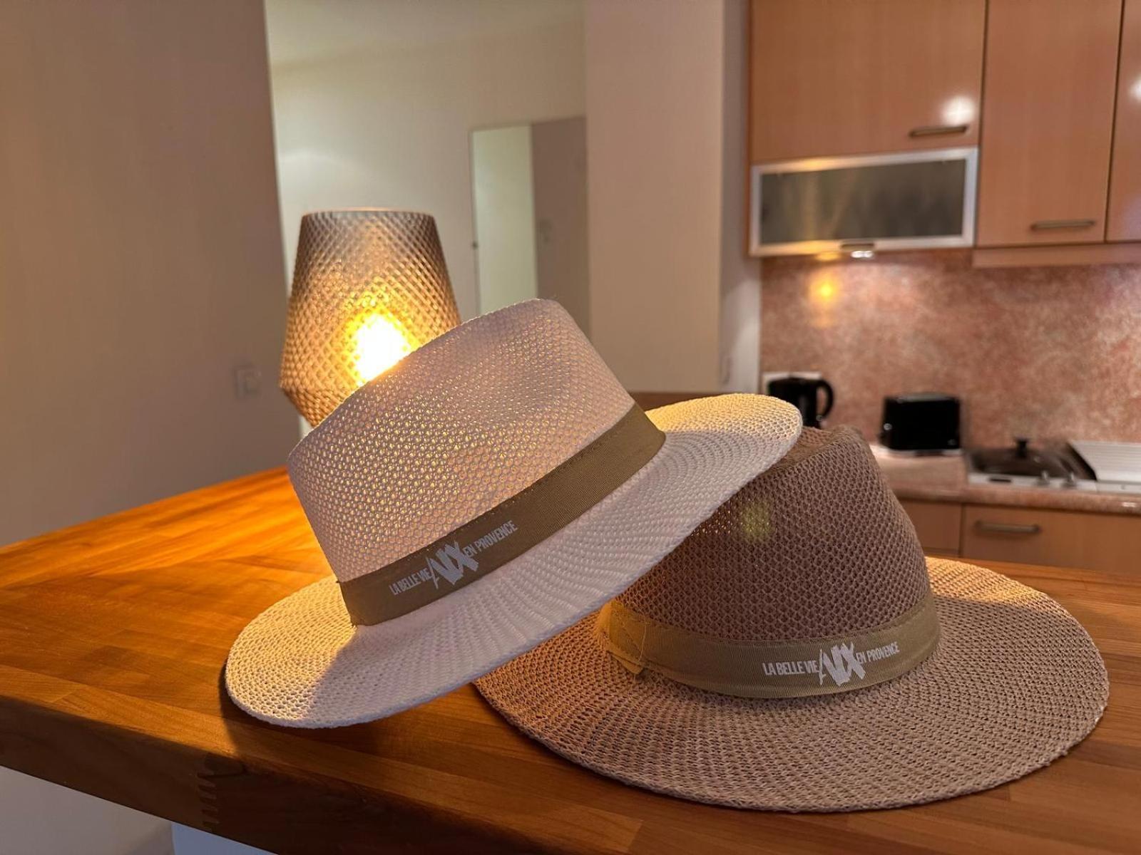 Superbe Appartement Avec Jardin Quart Mazarin エクス＝アン＝プロヴァンス エクステリア 写真